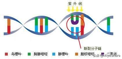 吃1颗糖就能防晒？除了浪费钱可能老得更快！关于防晒这2点很重要