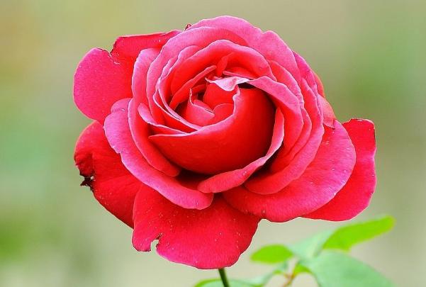 3个习惯养成了，领导喜欢你，迟早有大出息