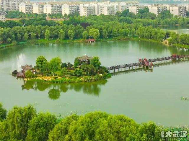武汉科技大学，神一样的大学