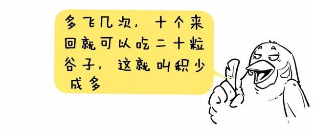 一代“股神”的陨落：像“麻雀”一样炒股,坐着