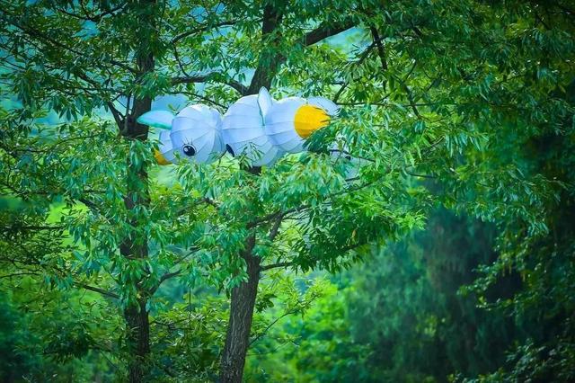 2天嗨够6种玩法，泡温泉、看萤火虫、坐小火车，