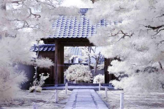 一加8 Pro真的能“透视”？劝你千万别想歪