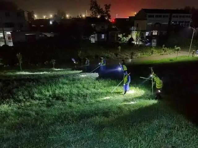 逆流而上！安徽检察人防汛进行时