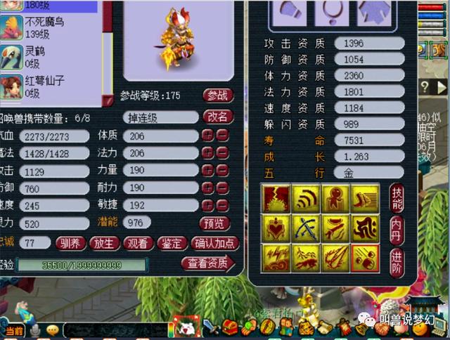 梦幻西游：史上最豪女玩家，为一只祥瑞花费几十万，现实身份成谜