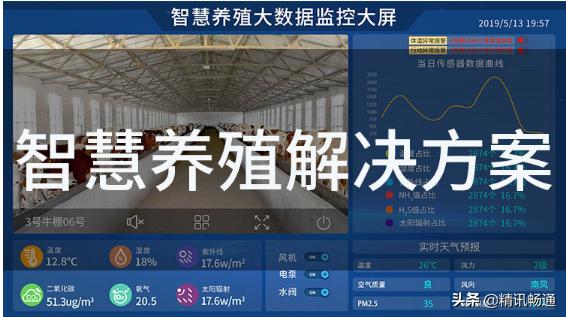 精讯畅通：智慧畜牧养殖解决方案