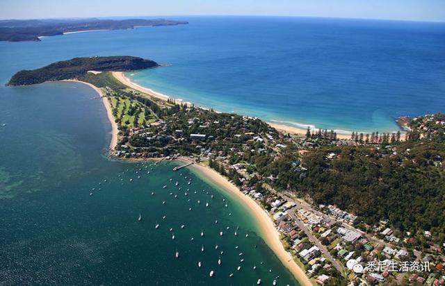 来了！4万多头座头鲸浩浩荡荡逼近悉尼港！气势