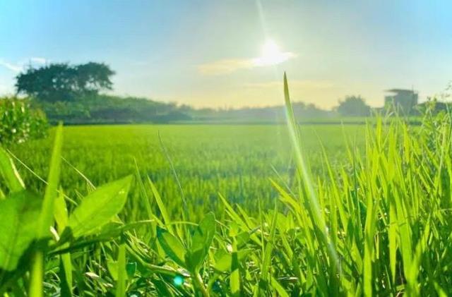 《天道》肖亚文从助理到格律诗“掌门人”，逆