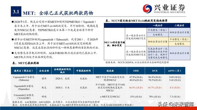 肺癌专题报告：序贯靶向治疗是核心，免疫联合治疗是新常态