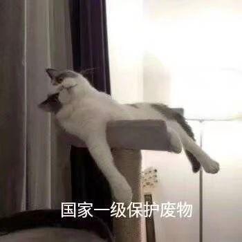 7.24 | 表情包来啦