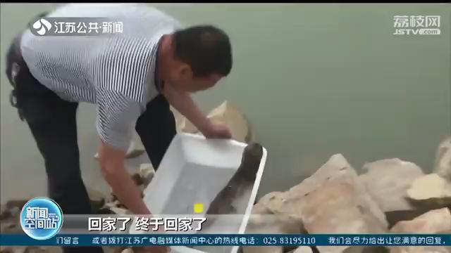 扬州居民钓到野生娃娃鱼 当场拒绝他人5千元收购并报警