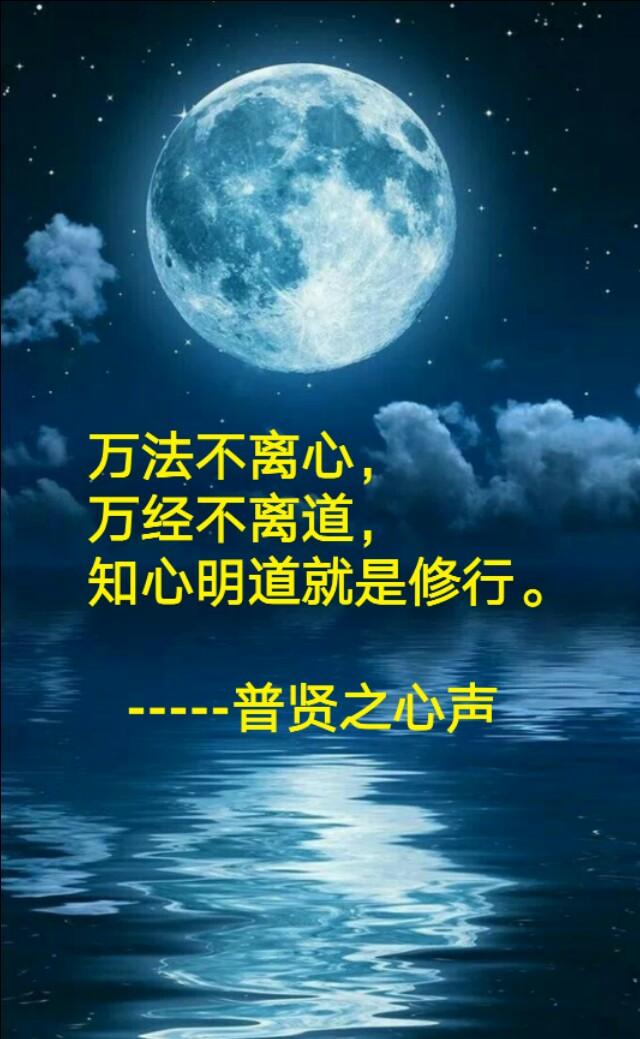 ����֮��������������