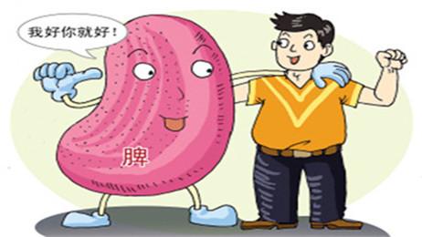 长夏补脾正当时，伤脾的坏习惯要改掉