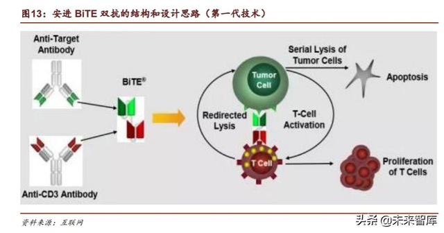 医药生物行业专题报告：Biotech崛起的确定性分析