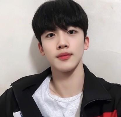 金曜汉&苏珠妍有望出演《小美好》剧方正在协商 这阵容你满意吗