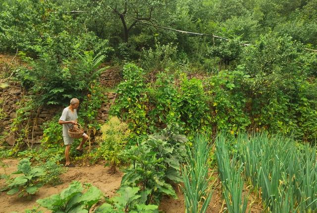 葫芦岛市建昌县让古村落成为助推乡村振兴新元素