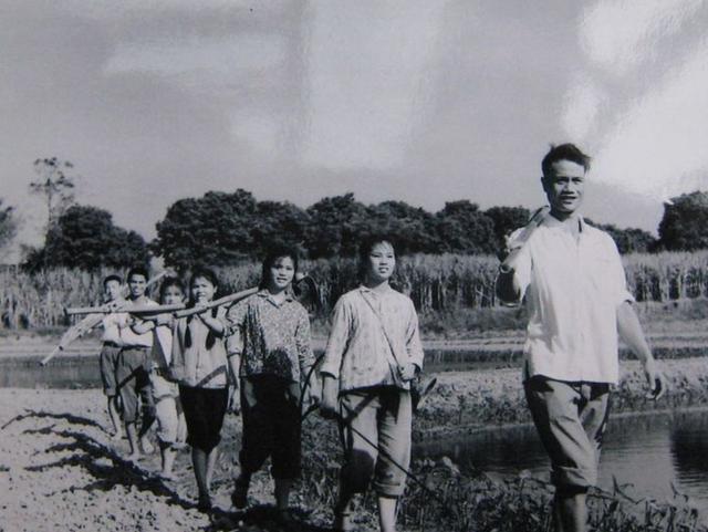 风起云南洪景农场，知青返城风潮的出现和上山下乡的结束