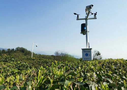 国家扶持农产品进城；我国农产品在国际上的竞争力较低