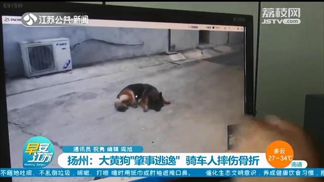 大黄狗撞上电动车&ldquo;肇事逃逸&rdquo;，民警反复看监控找到狗主人