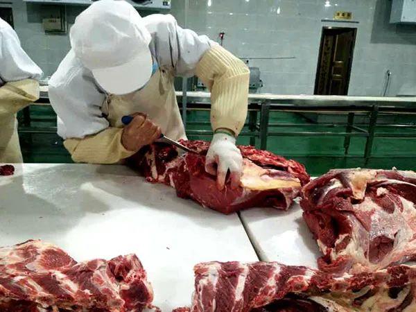 筠连县推进肉牛产业全产业链发展 打造百亿肉牛产业大县
