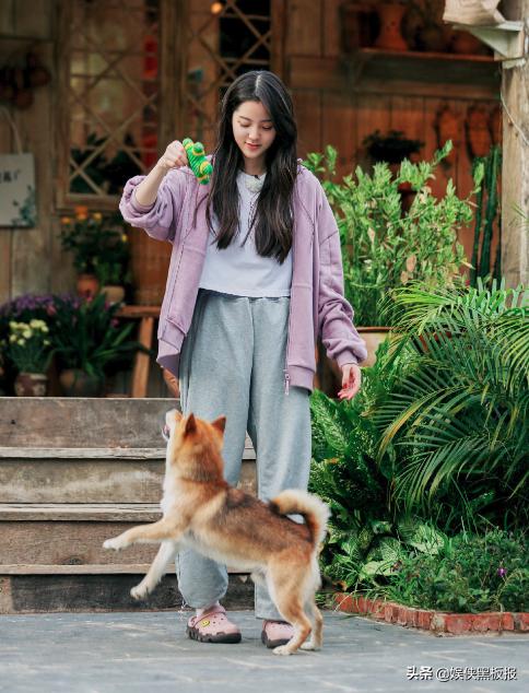 同为热门综艺，《跑男》和《向往》有一大区别，背后暗藏小心思？