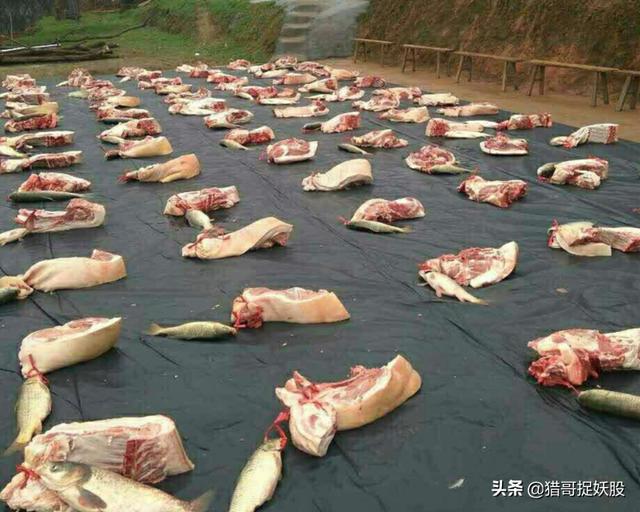 医药板块震荡，将要领涨，主力却偷偷吸筹这7只白马股（名单）