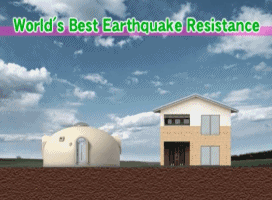 泡沫塑料造的房子竟卖到40多万元，还能轻松扛下