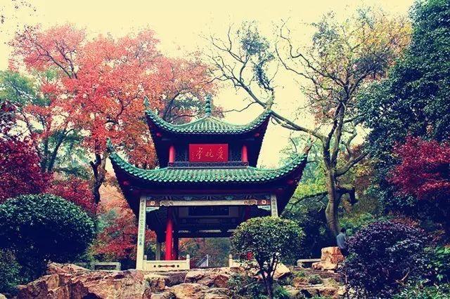 長(zhǎng)沙第一大美女原來(lái)長(zhǎng)這樣！數(shù)十萬(wàn)人跨省而來(lái)，只為看她一眼？