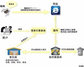 SEO必备——了解网络蜘蛛