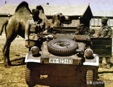 轴心国的吉普，总产量只有5万出头，名气却堪比