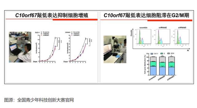 成批出现的少年医学“天才”，比新冠还可怕