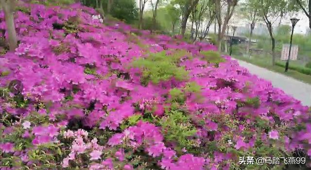 五一周边游，百年古桥巍峨屹立，美丽城市绿树