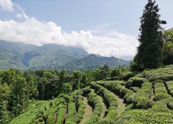 楊凌農(nóng)科，見證小康足跡——2020走出楊凌看示范活動圓滿收官
