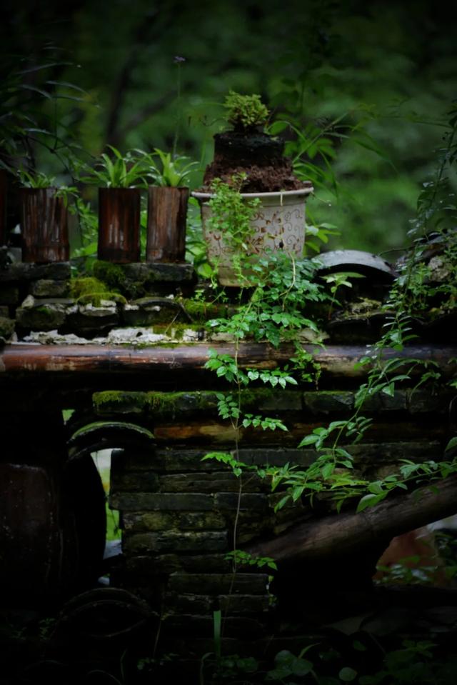 「一波」今日小暑 来一波和小暑有关的唯美图片发朋友圈