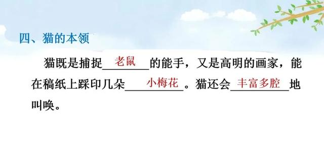 猫生字拼音组词等知识点归类预习及练习