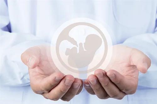 经历过一次胚胎停育，宜昌妇幼助您好“孕”！