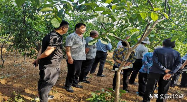 青州市省定贫困村综合性文化活动建设成果展示：青州石古岭村