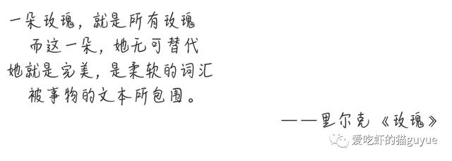 娱乐圈里对赌最成功的女星你知道是谁吗？