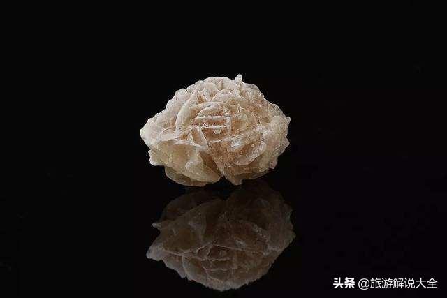 为什么在沙漠中看到“石头”，一定要捡起来？驴友：不捡怕是傻子