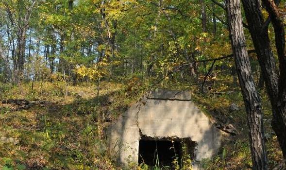 17岁女孩上山劝日军投降，却被强行挟入山洞，战