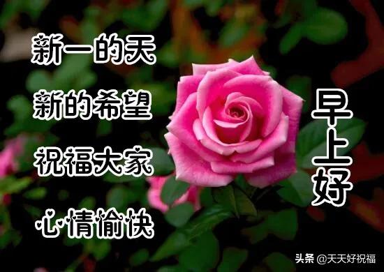 清晨|最美最暖心的清晨问候祝福语短信，很入心的早安祝福文字表情图片