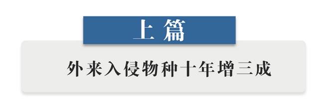 660多种已入侵中国！外来入侵物种十年增三成
