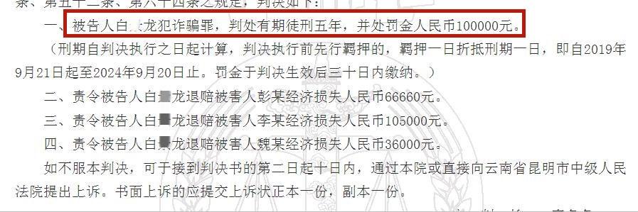 “中国红梅集团”白某龙犯诈骗罪，获刑5年，罚金10万元！退赔诈骗款20多万！