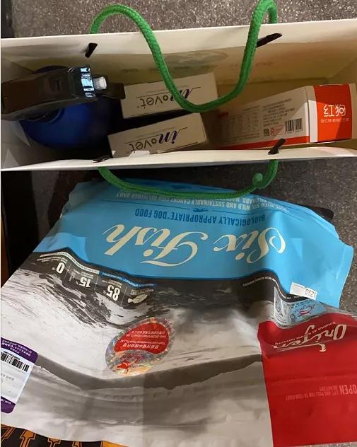 没错，狗也能献血，但被“人”喷闲得慌，说狗不配人的待遇