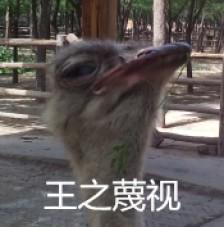 同学们,高考加油,这样才能与他们走得更近