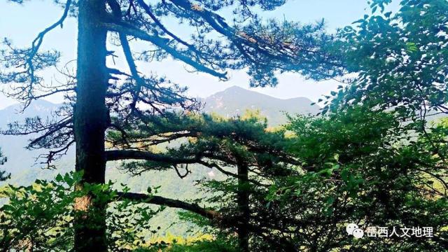 中国旅游新闻网：醉美岳西，风景这边独好