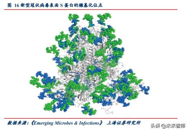 新冠疫苗专题报告：灭活苗进度领跑全球，重组蛋白苗潜力较大