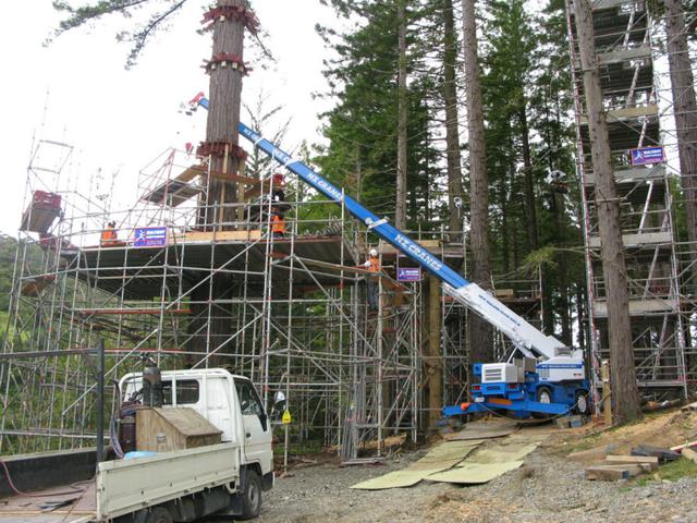 新西蘭黃色樹上餐廳