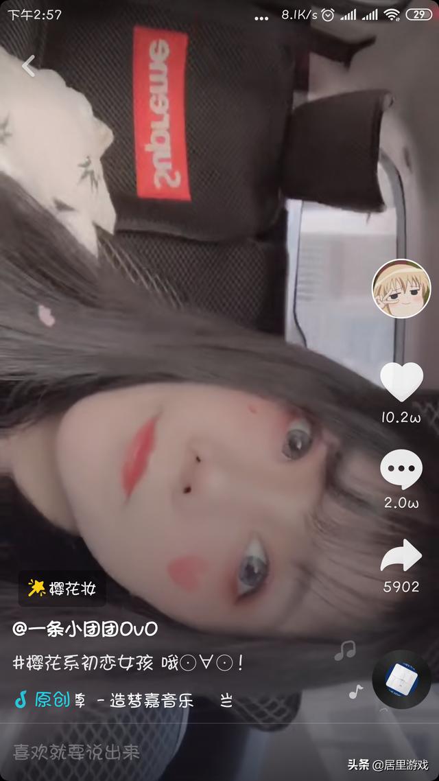 斗魚一條小團團照片