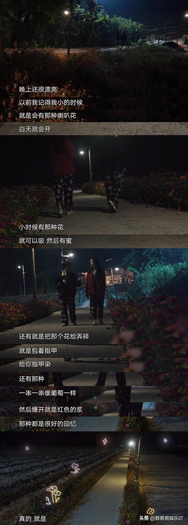 周迅、郭麒麟、张婧仪做客向往的生活，为啥这么吸引人？