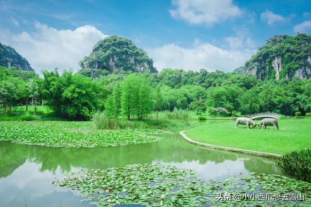 广西柳州最美的公园，与桂林一些景点相比毫不逊色，但游客不多